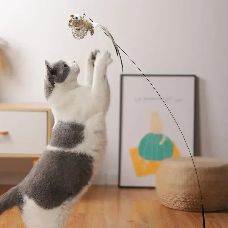 Bird Stick Cat Toy
