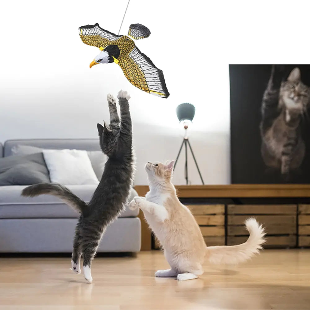 Flying Bird Cat Toy