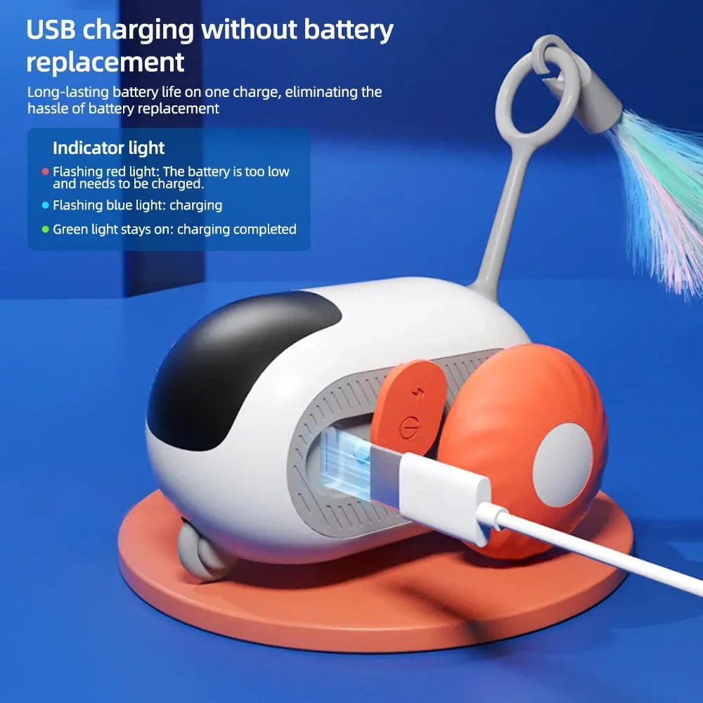 cat toy, interactive cat toy, remote control cat toy, and kitty chase toy
