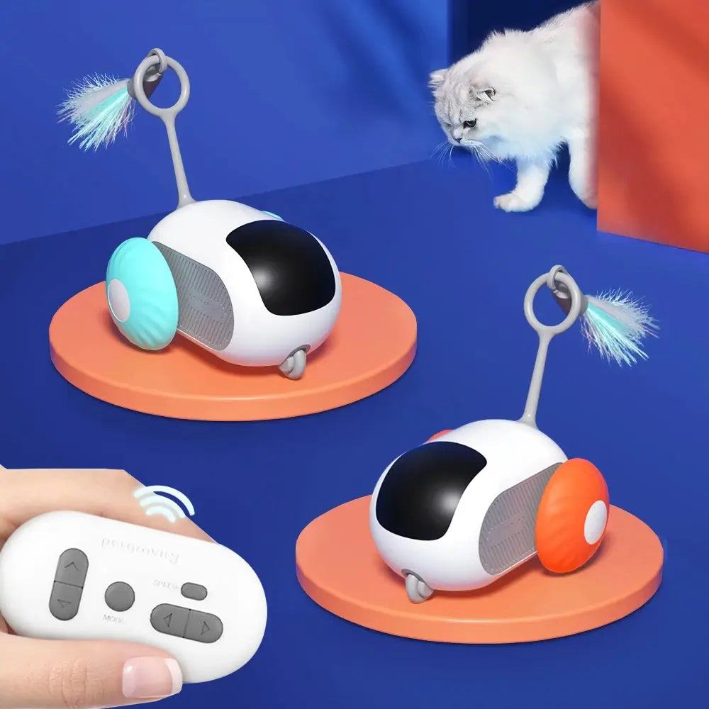cat toy, interactive cat toy, remote control cat toy, and kitty chase toy