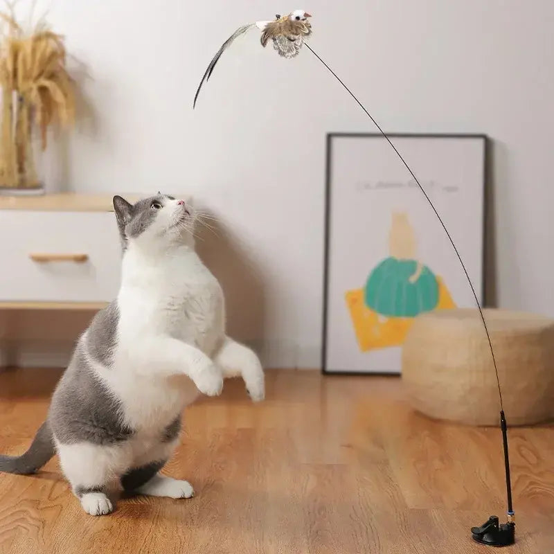 Bird Stick Cat Toy